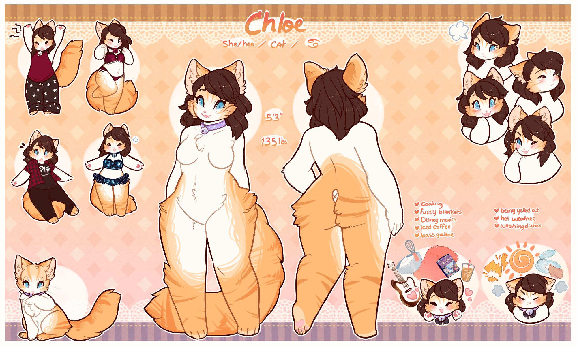 ✨ Chloe the Cat ✨