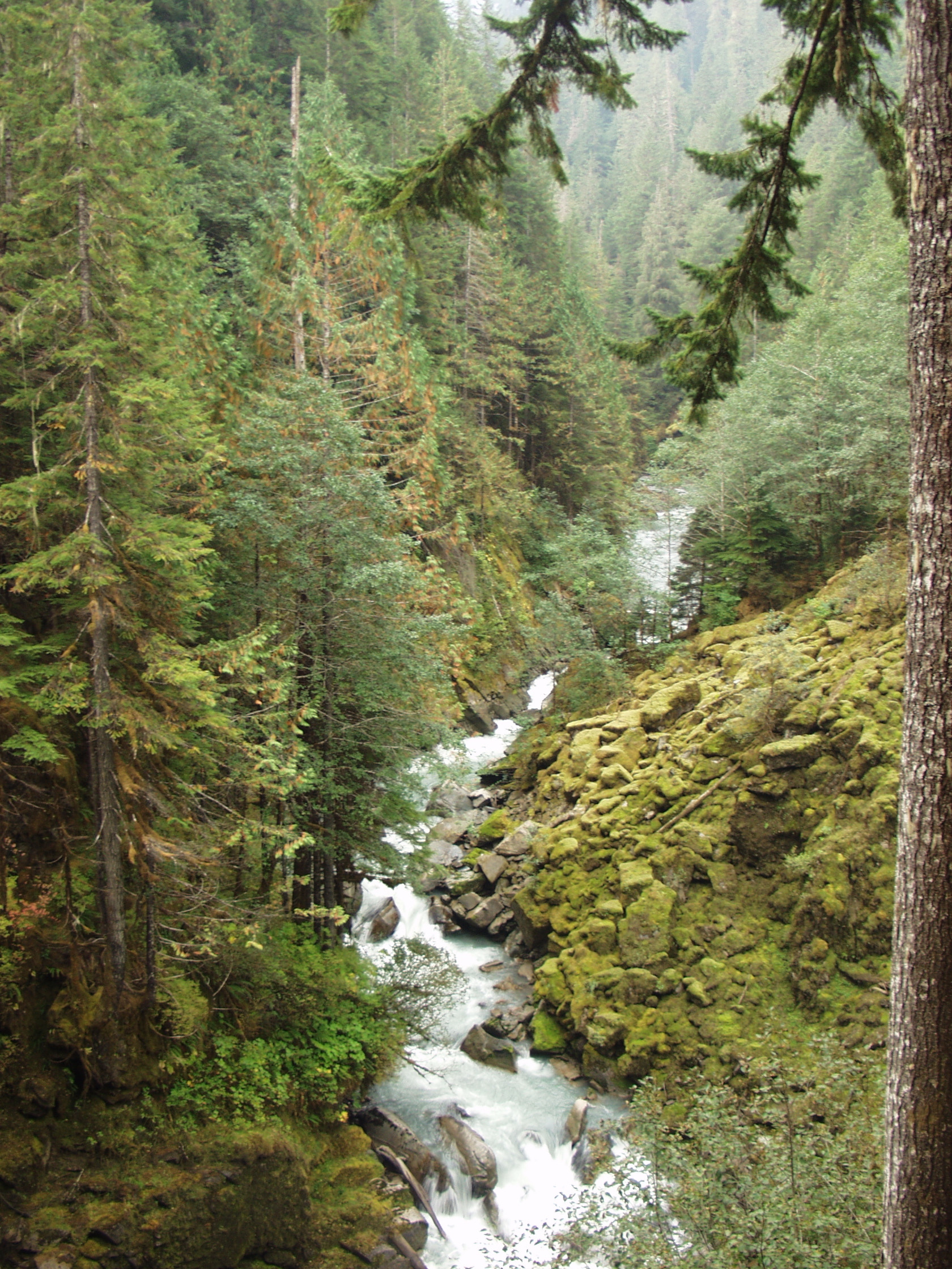 Beyond the valley of the falls