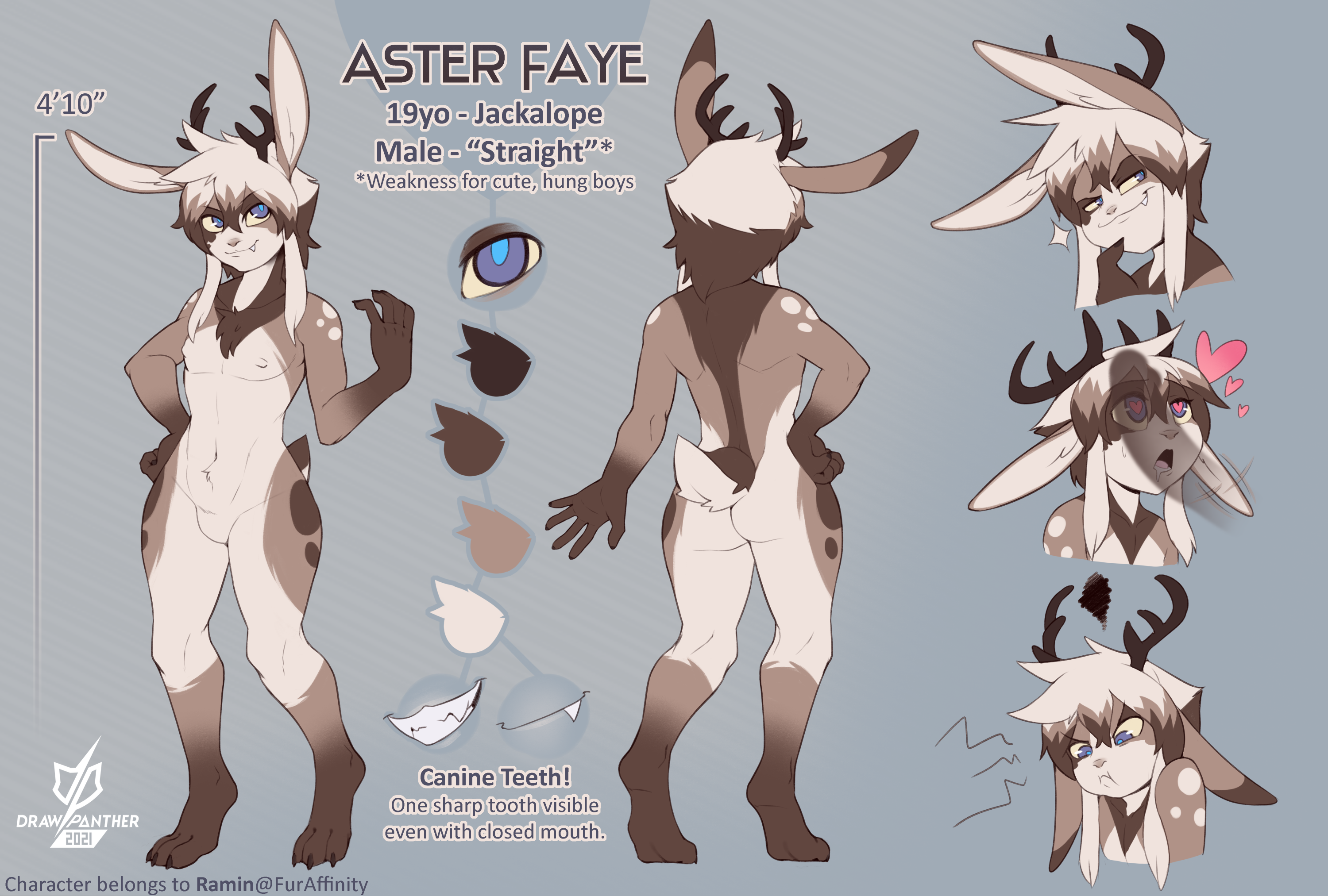 Aster Reference Sheet - SFW