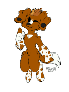 Click to change the View NMA - Wiggle Toller