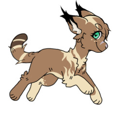 Click to change the View Drissle Feral ref