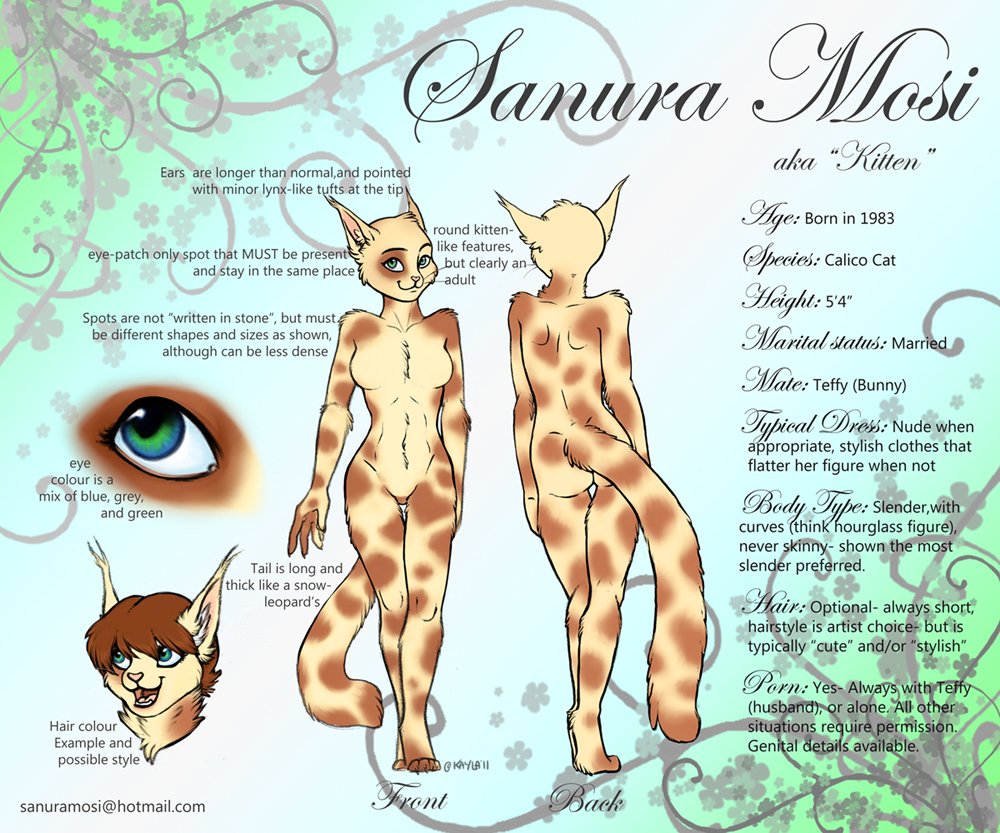 Kitten Reference Sheet (Collaboration with Xainy)