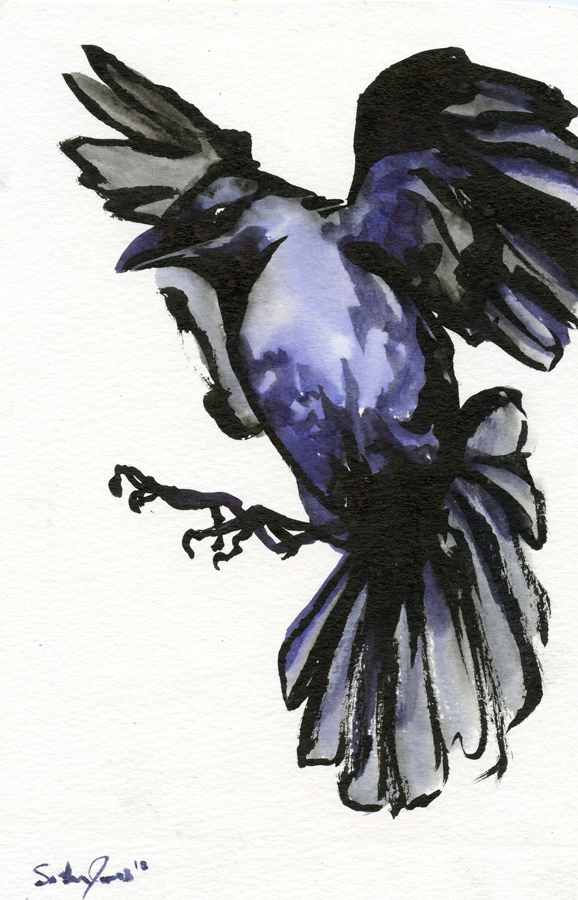 Inkbrush Crow