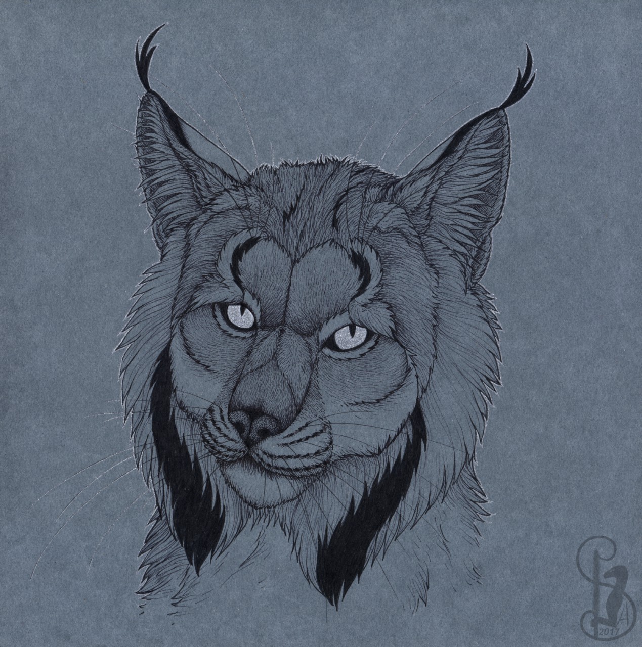 Click to change the View Lynx portrait