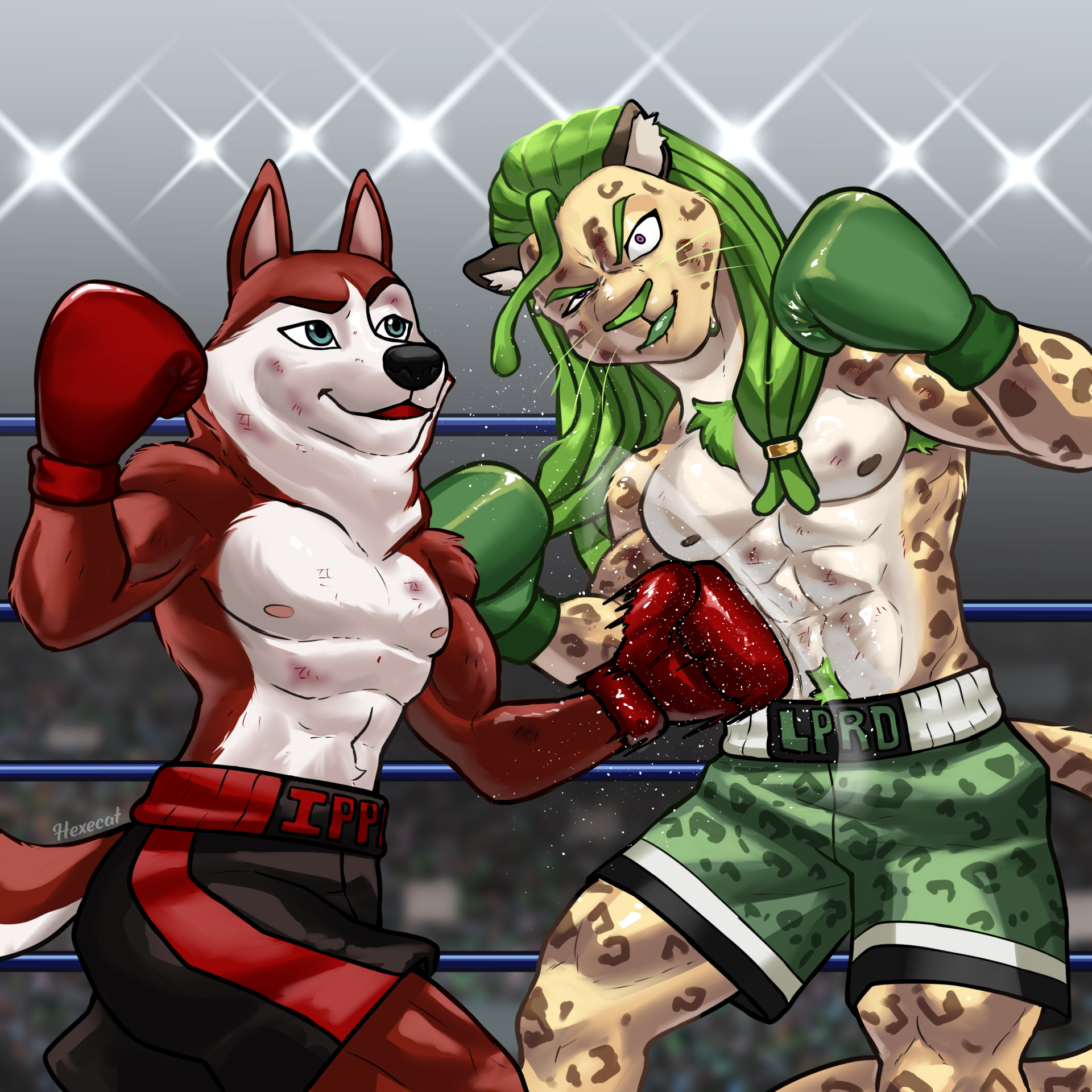 Click to change the View Ippo vs Lprd