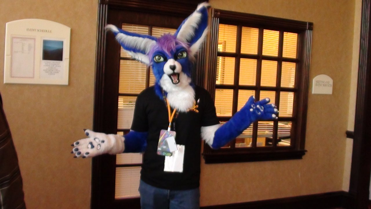 Click to change the View Fennic Fox Suiter