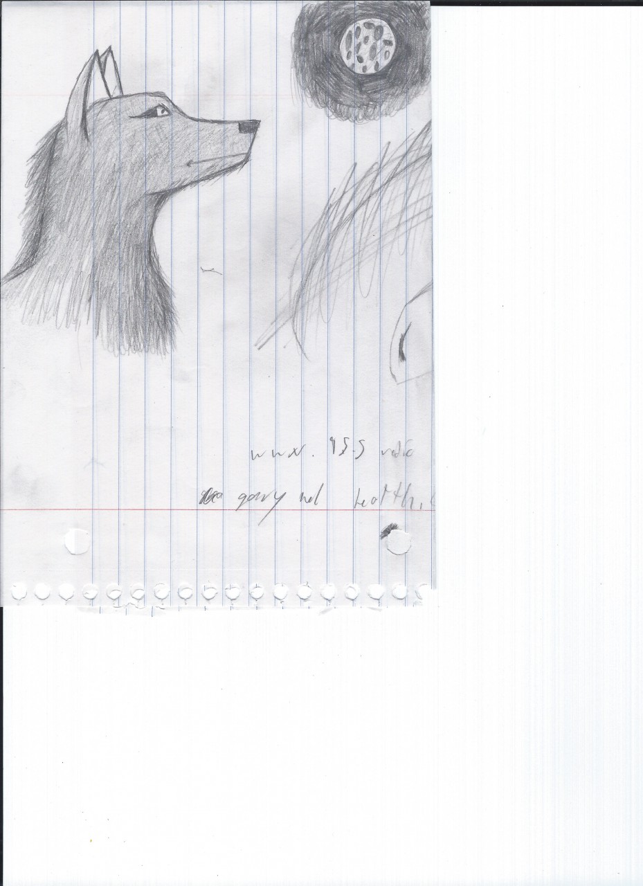 Click to change the View A wolf staring at the moon