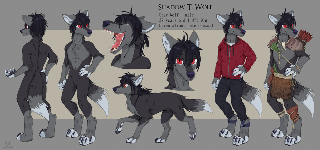 Shadow T. Wolf Ref Sheet