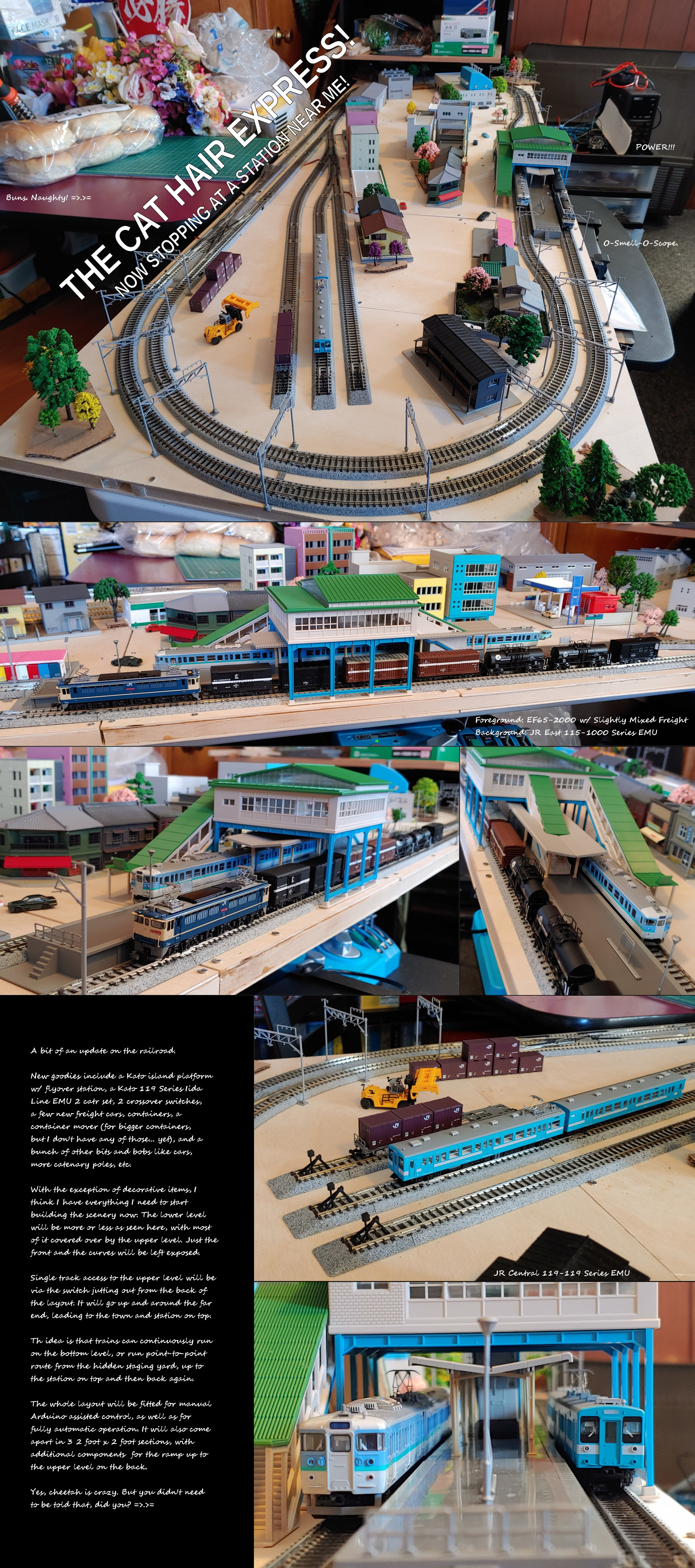 Click to change the View The Cat Hair Express, Now With More Stuff!