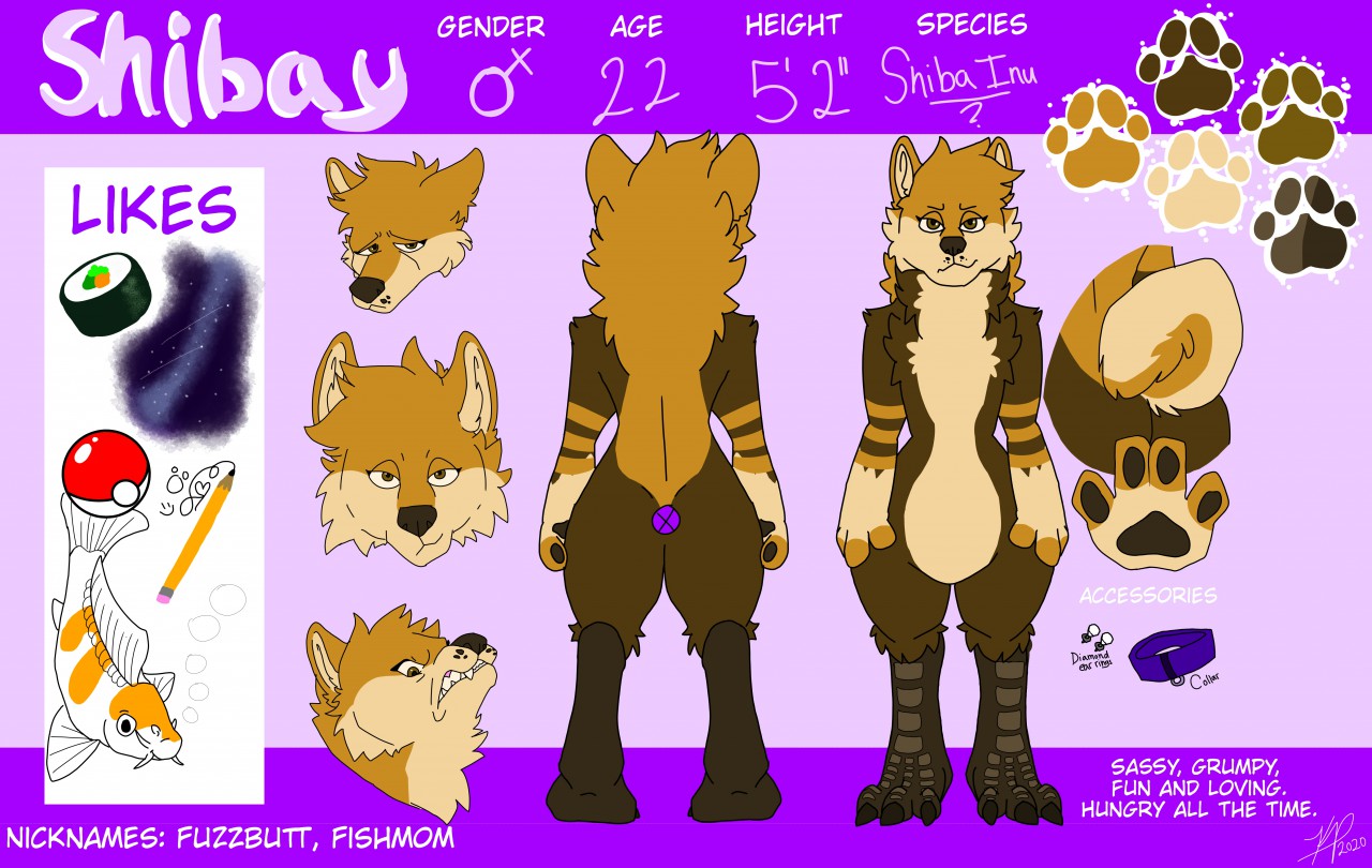 Click to change the View Shibay Reference Page