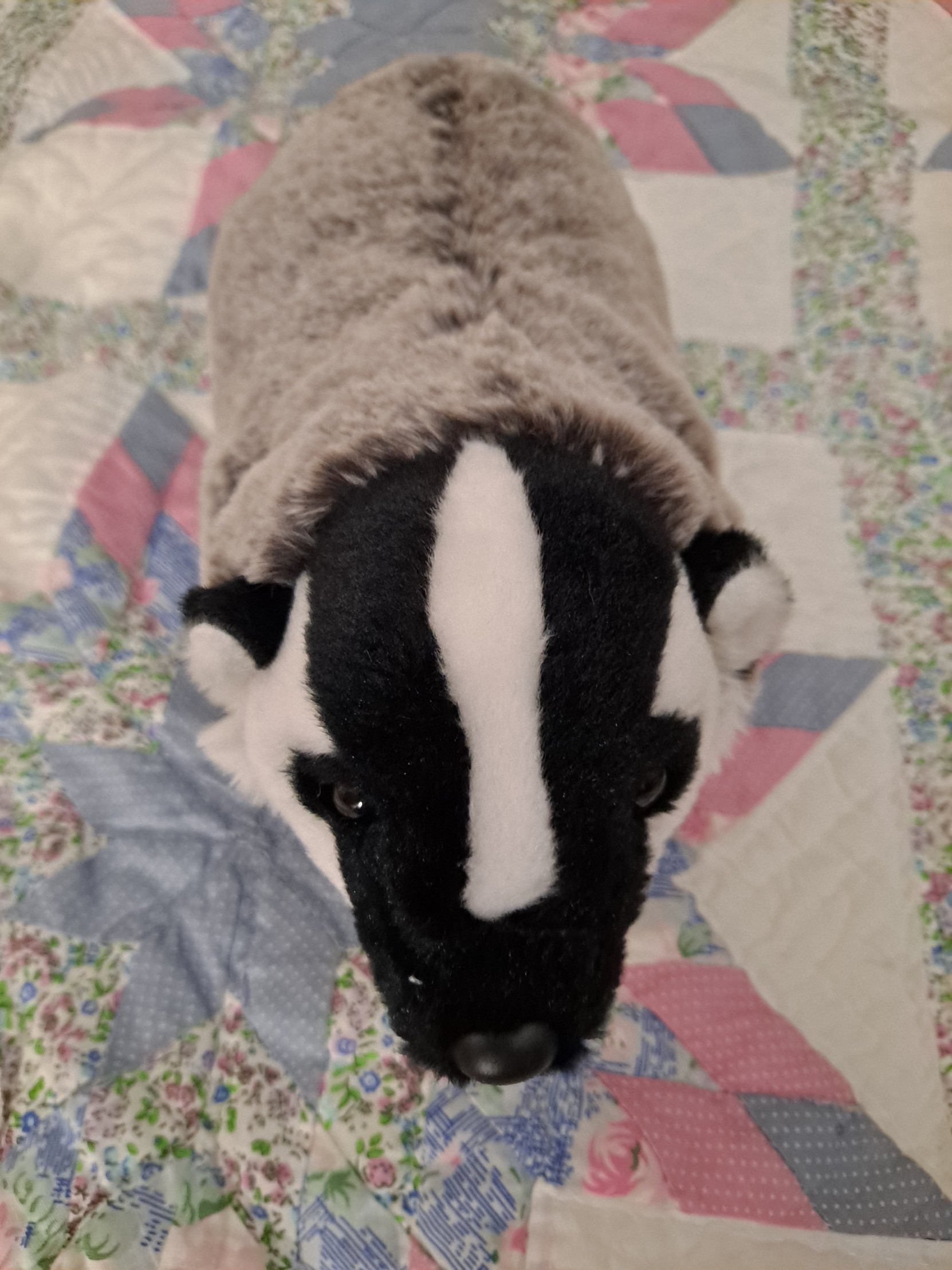 Click to change the View American Badger Plush