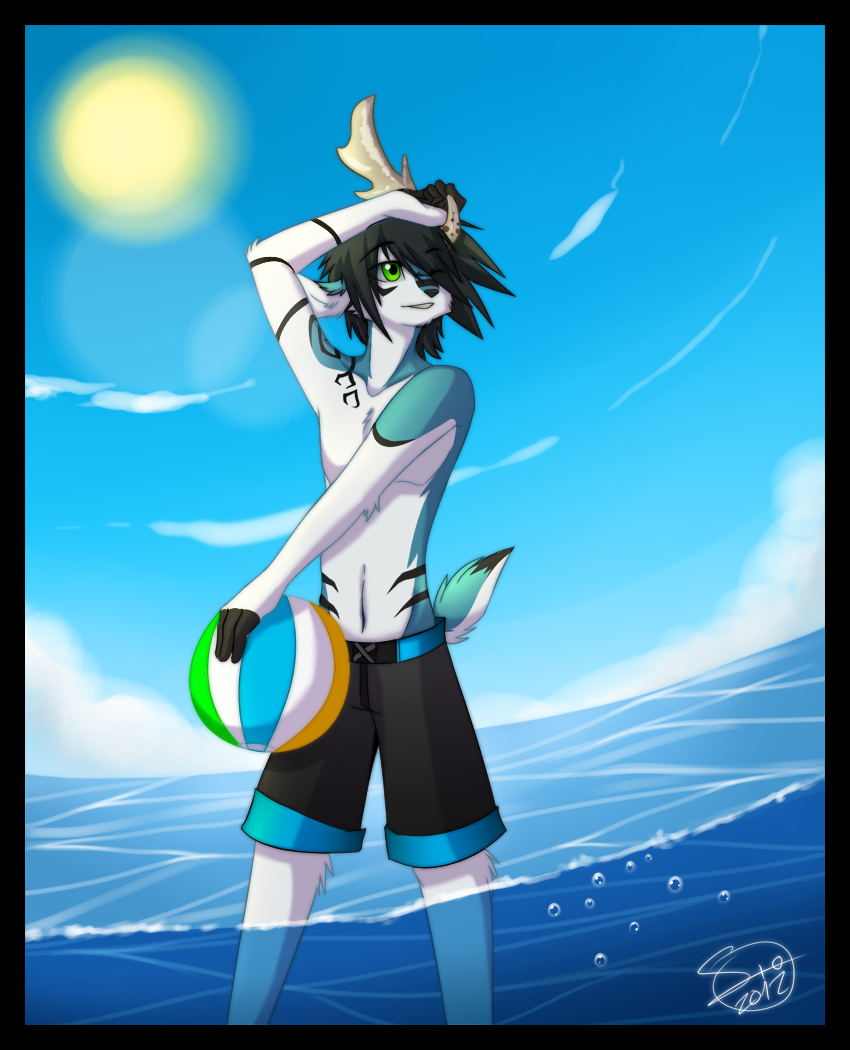 Click to change the View Celebrate the Summer