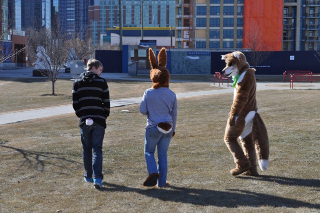 Three Very Sweet Furs