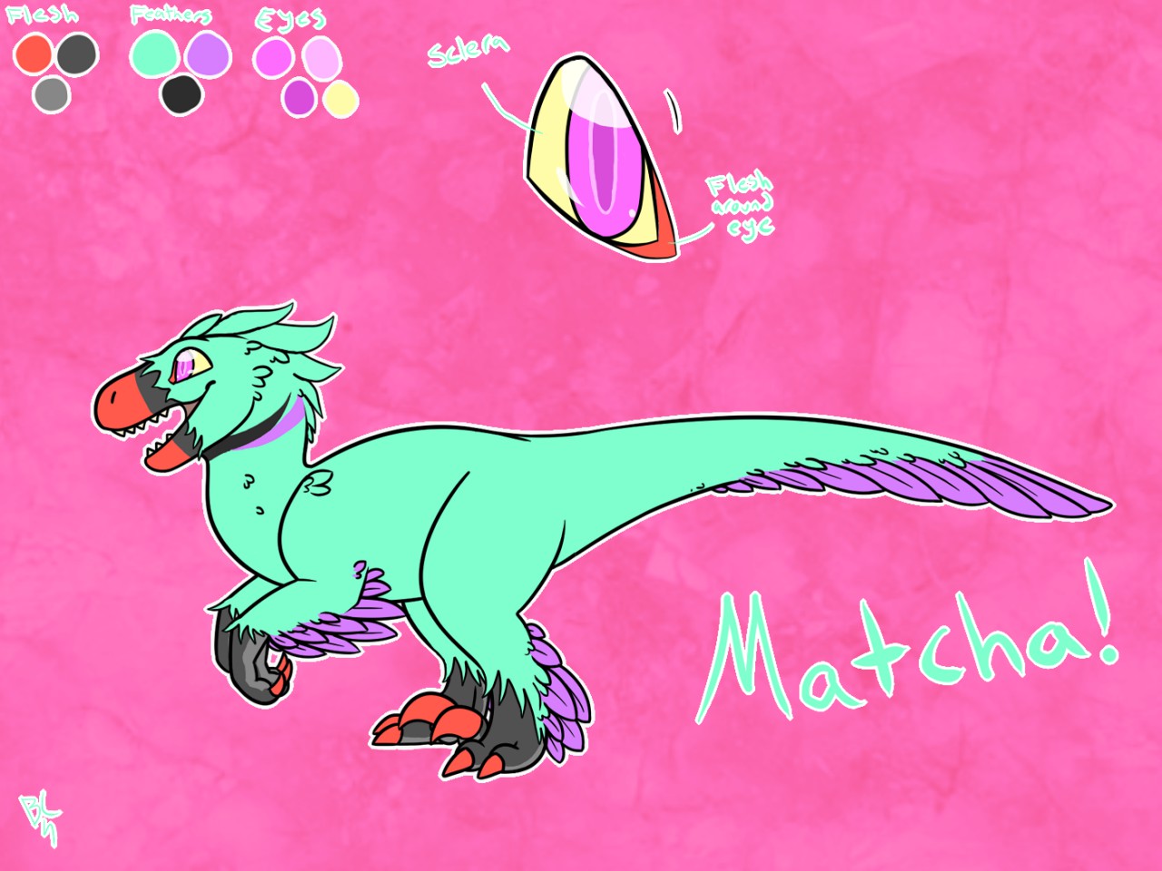 Matcha Ref 2k19