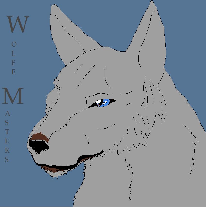 Click to change the View Wolfe Masters on tablet