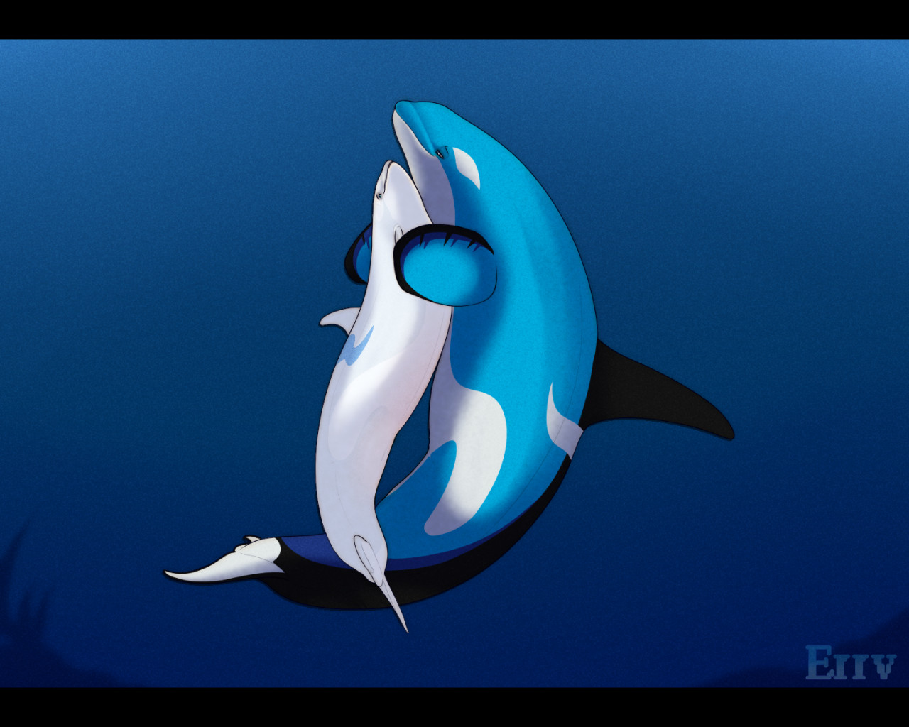 Click to change the View A fintastic cuddle