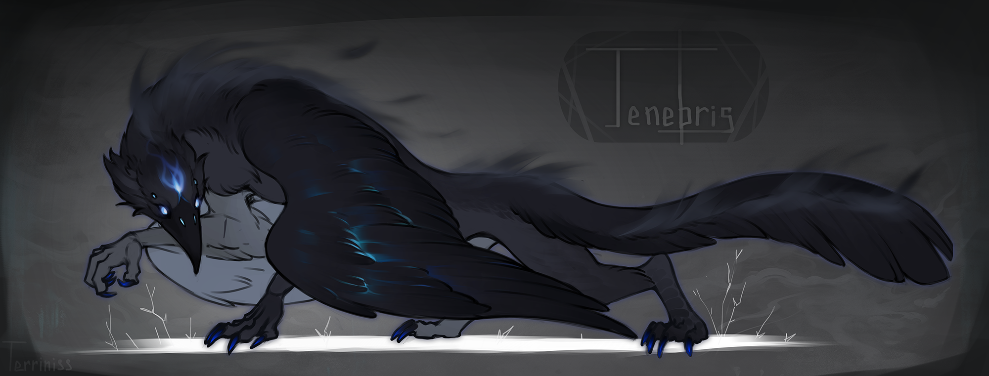 [CLOSED] Adopt Auction - Tenebris