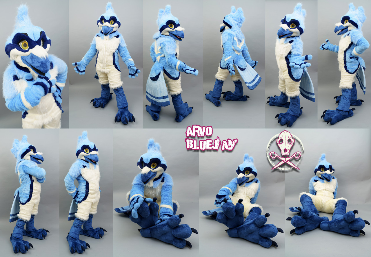 Arvo BlueJay Fursuit