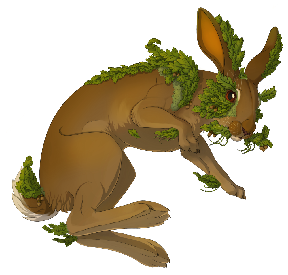 Hare full of Leaves