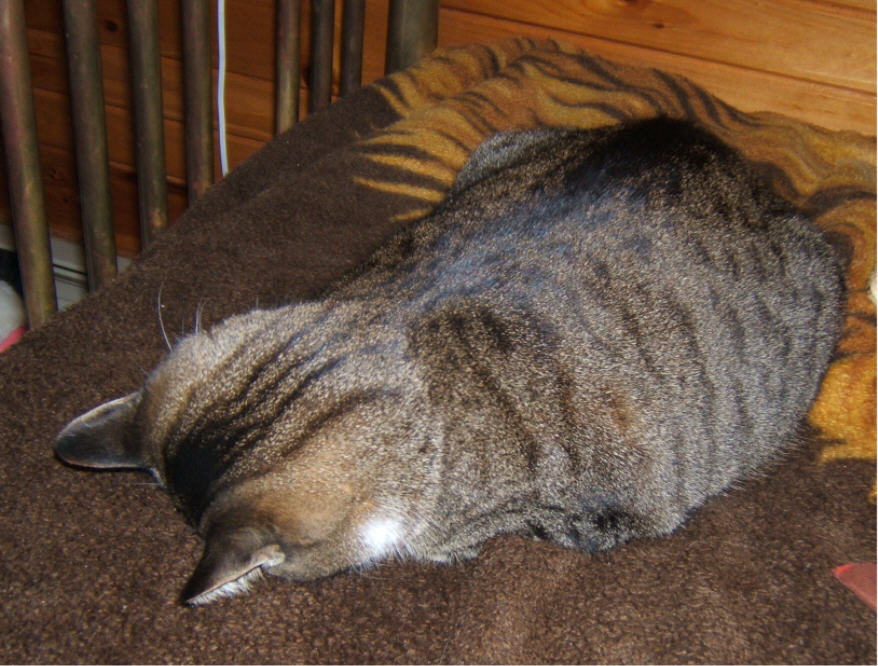 Click to change the View I think I've spotted why she snores.