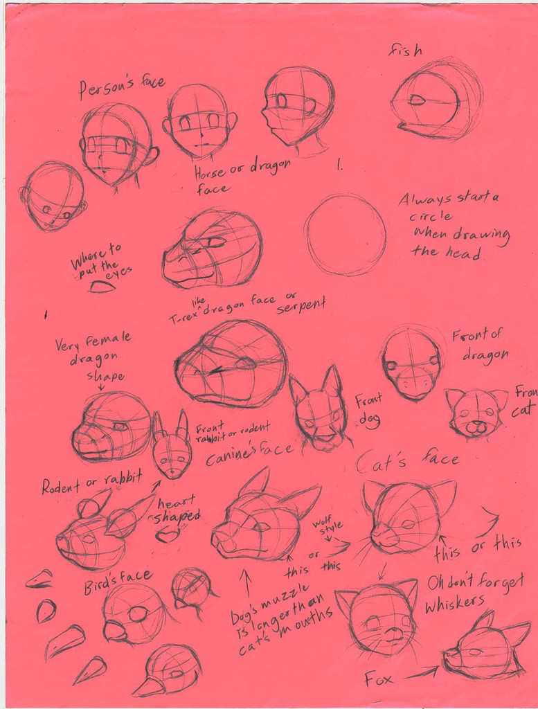 How to draw faces