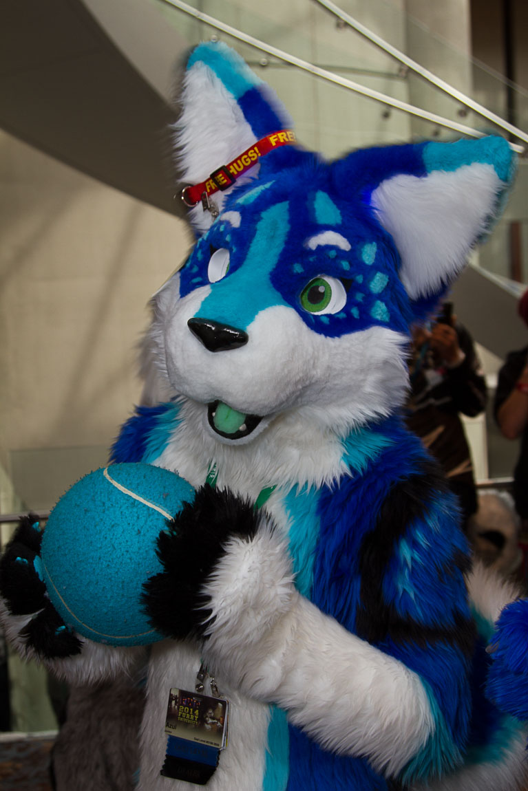 FWA 2014 - Happy Azul