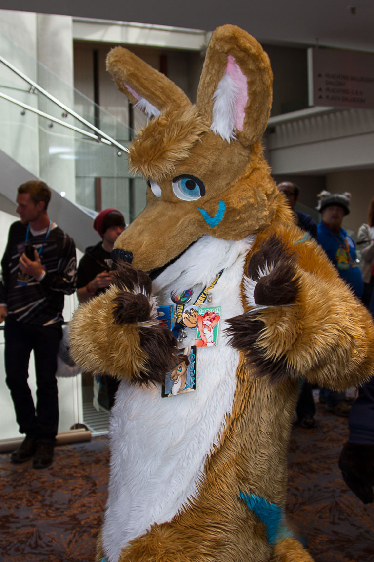 FWA 2014 - Djur kangaroo