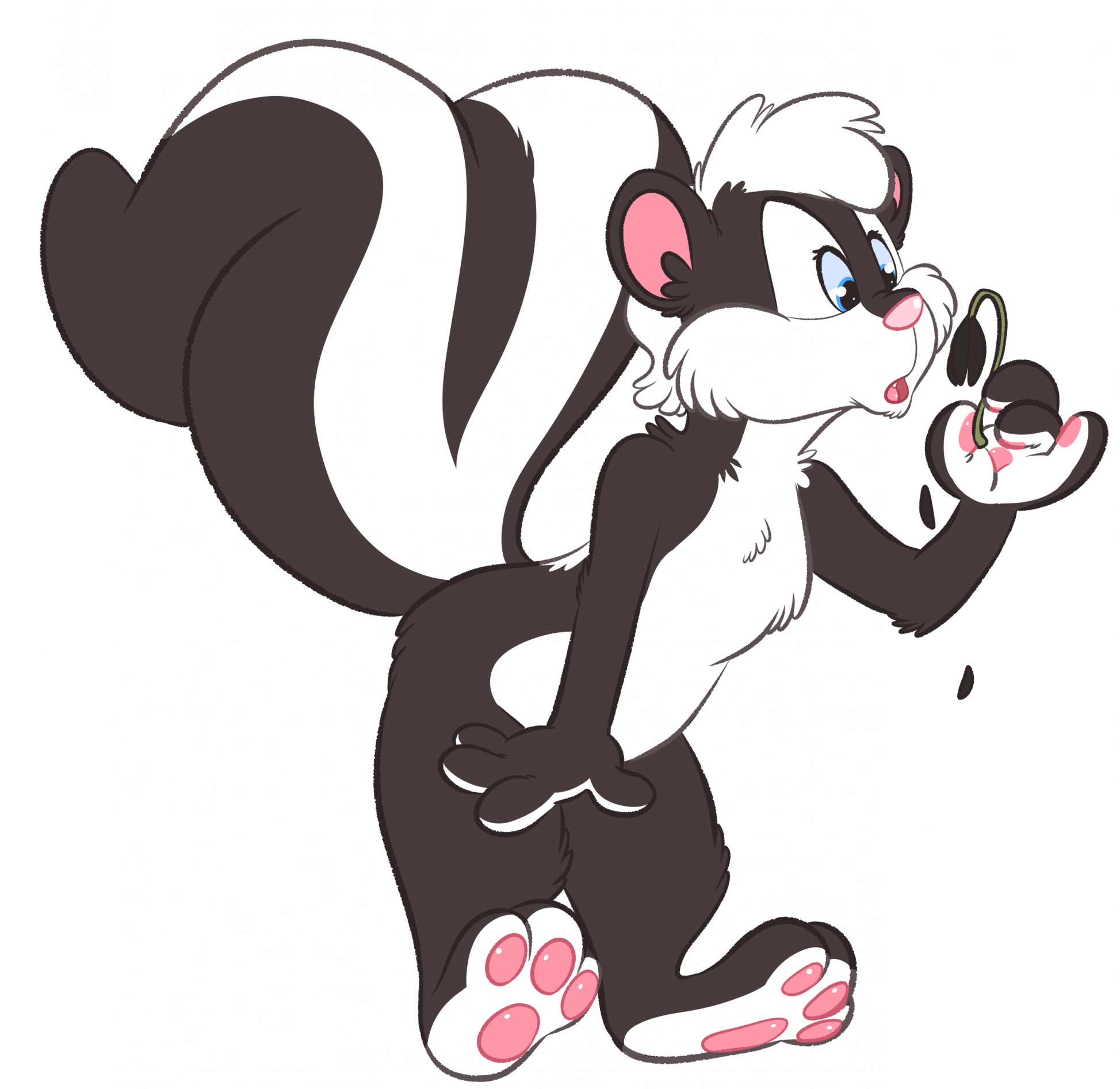 Skunk problems