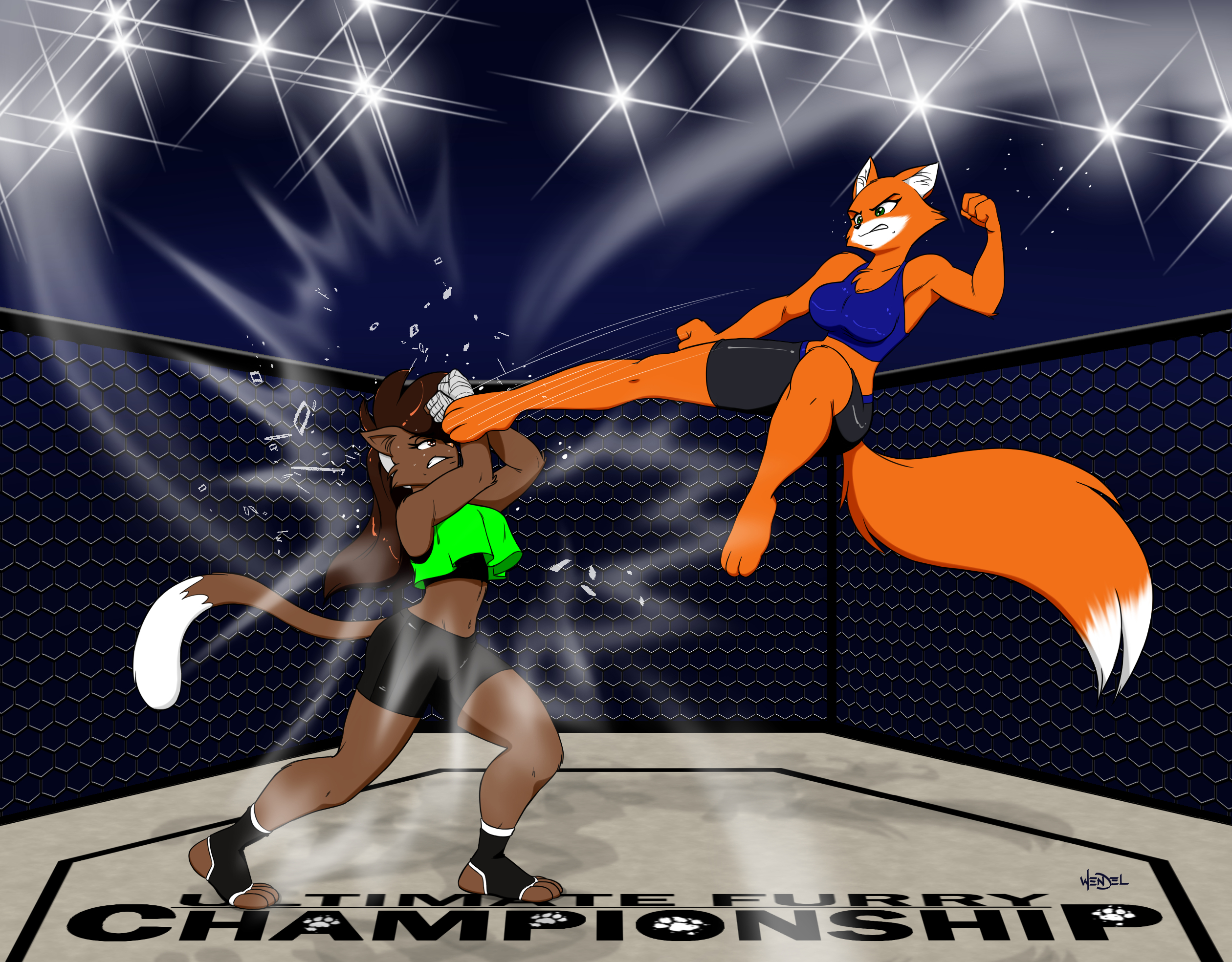 Fox fight wrestling