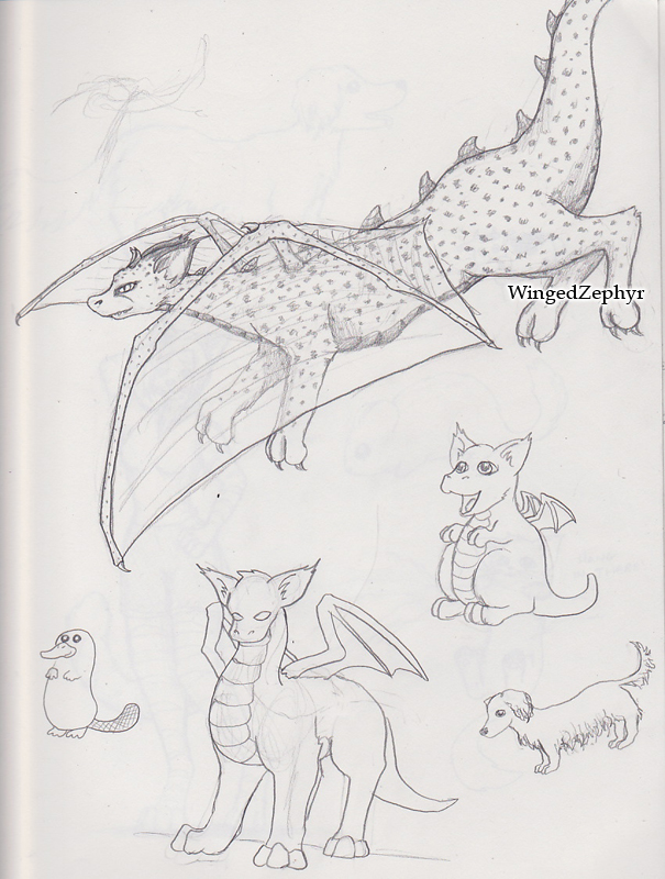 Click to change the View Sketchbook Drawings 1