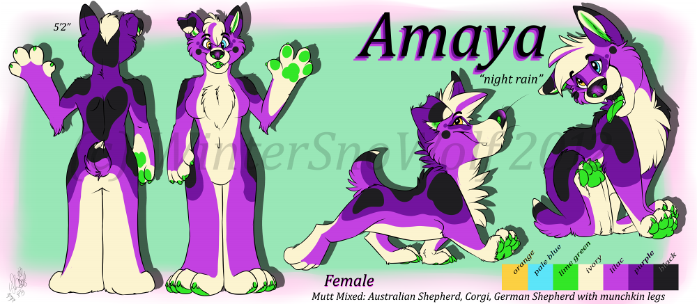 Click to change the View Amaya