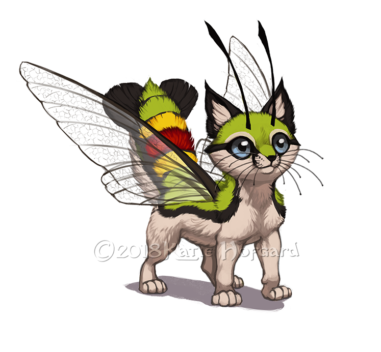 Felis Lepidoptera - Pellucid Hawk Moth