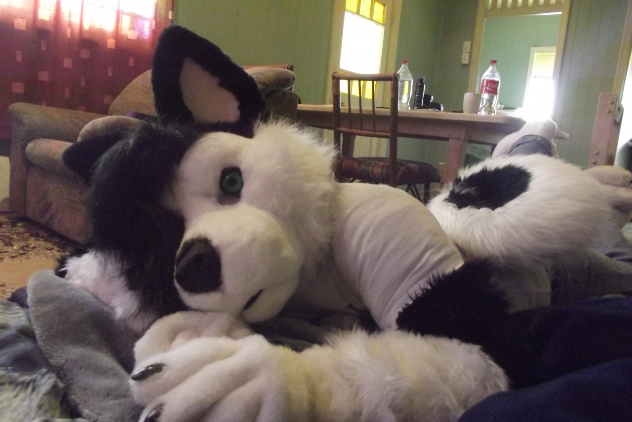 Older fursuiting pic