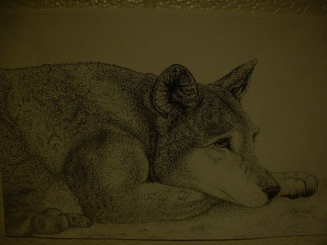 Click to change the View Wolf Stippling Project Finished!