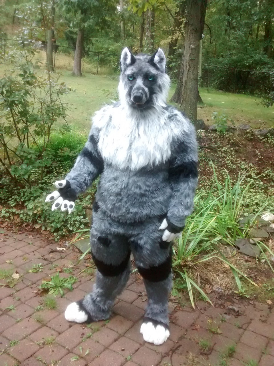 Click to change the View Frenzy full suit!!