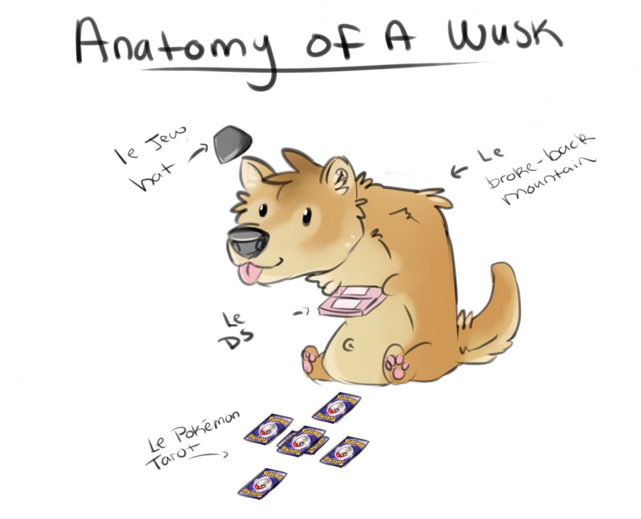 Anatomy of a Wusk