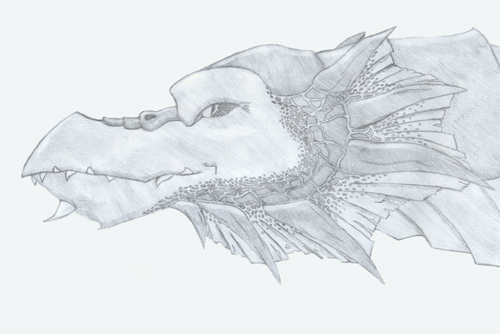 Click to change the View dragon face