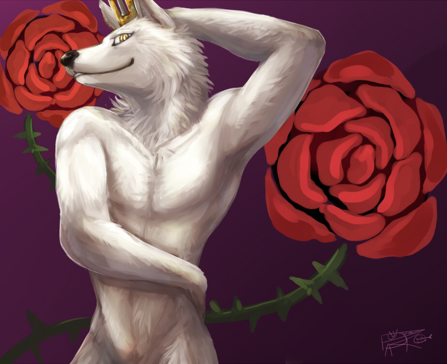 King with rose