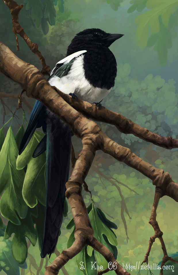 Click to change the View Magpie