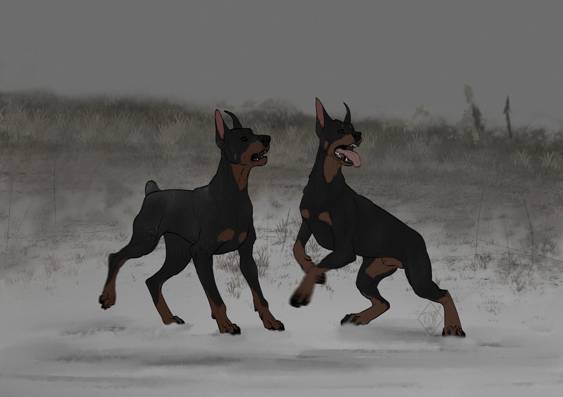 Dobermanns