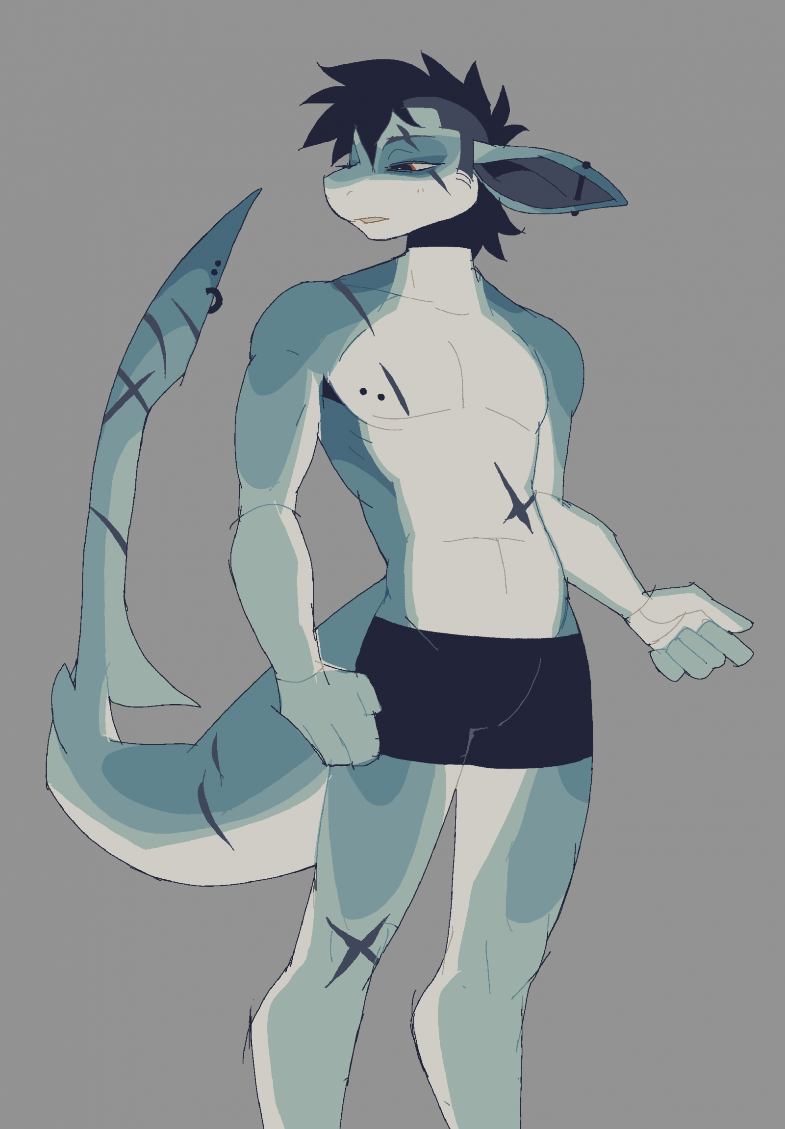 shark adopt