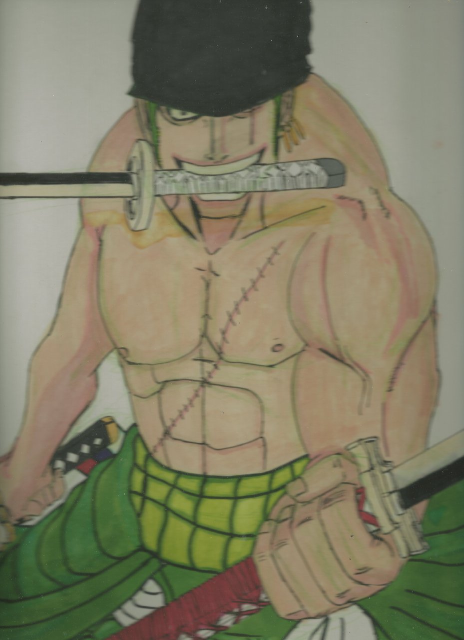 Roronoa Zoro's Outfit During The Skypiea Arc - One Piece Zoro