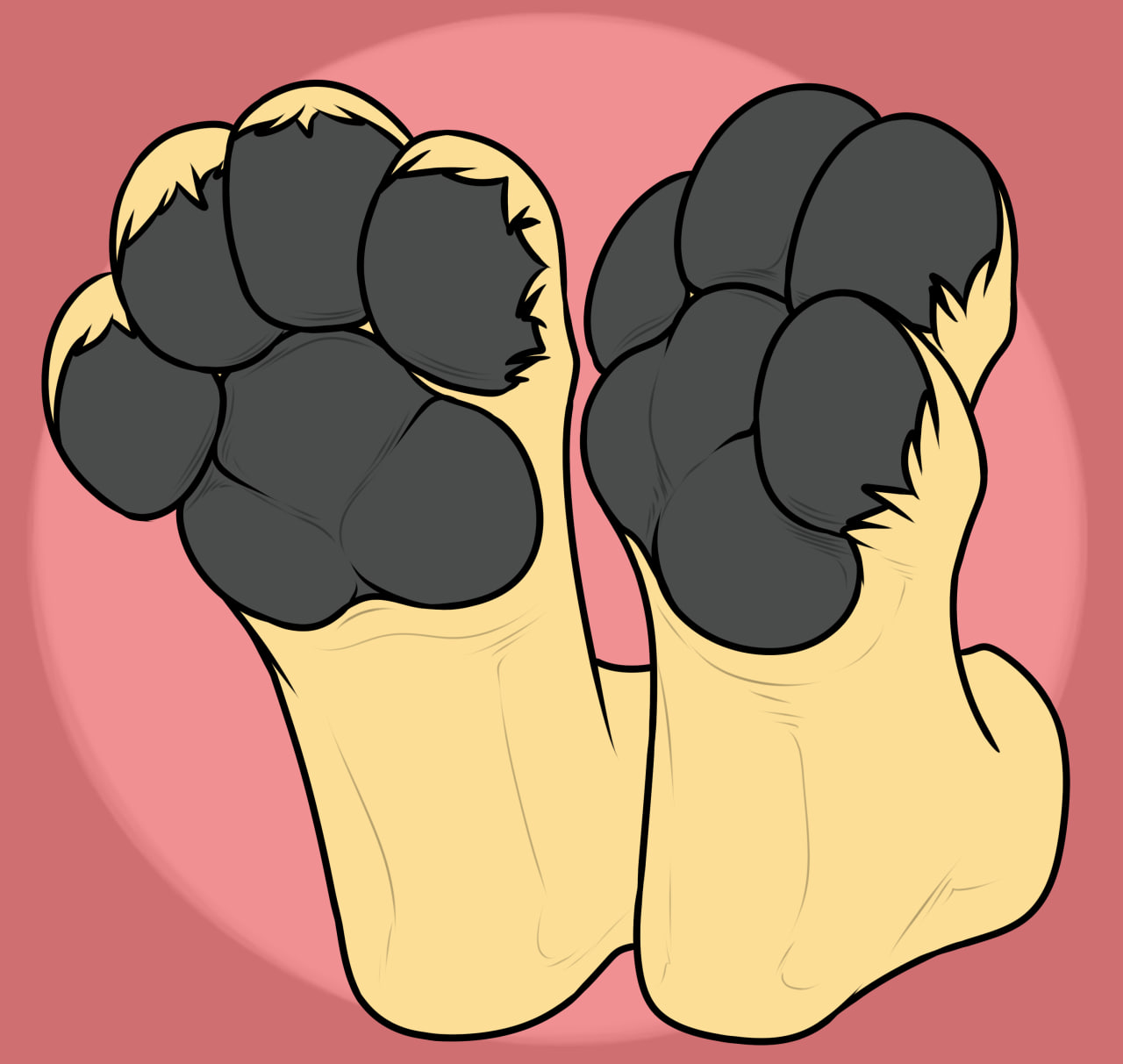 Pawshot 13