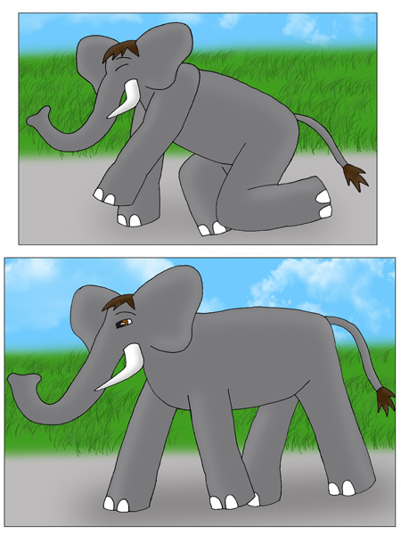 Size. elephant. 