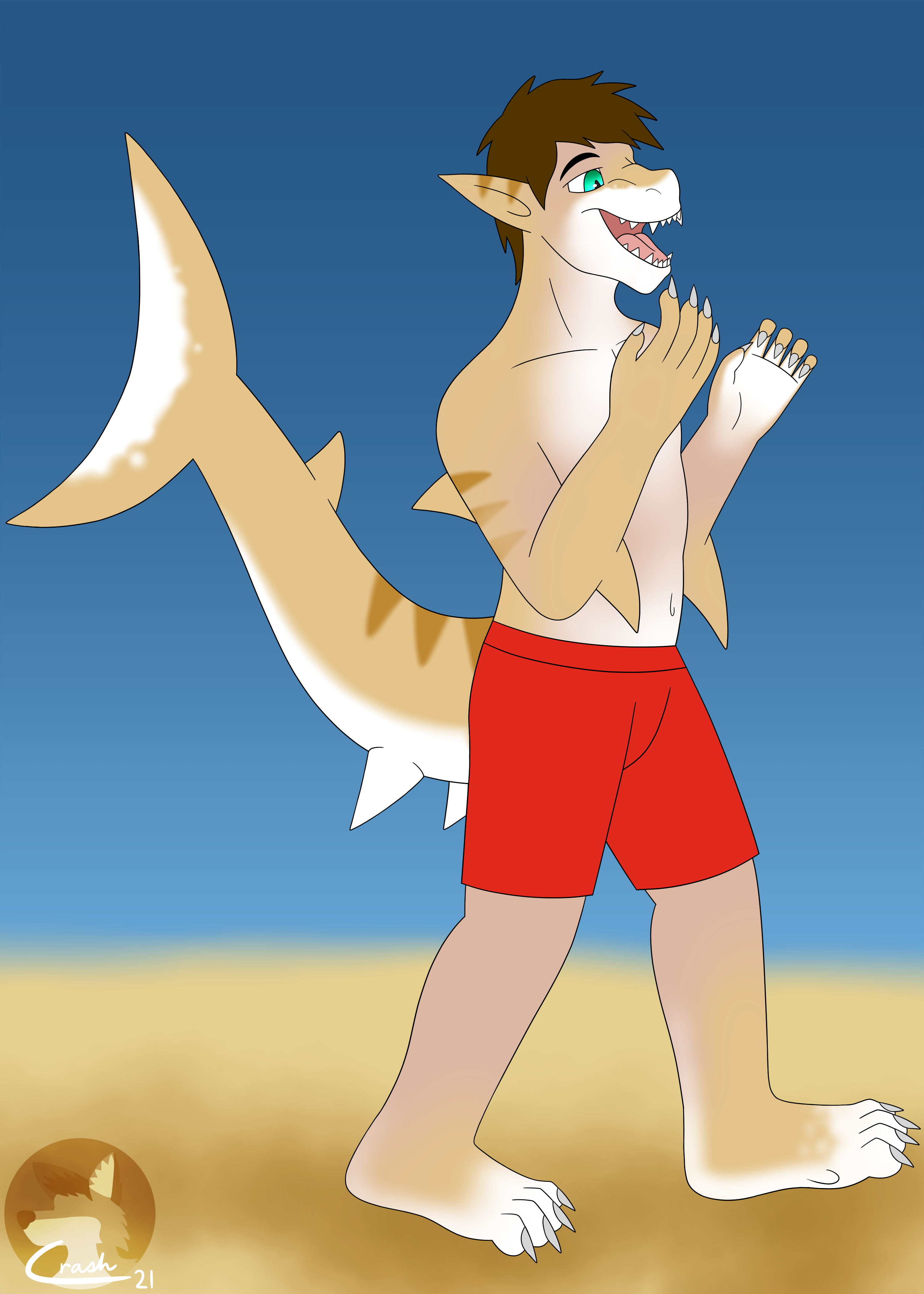 Woah! Calm Down, Shark! by MillerTheCockroach on DeviantArt