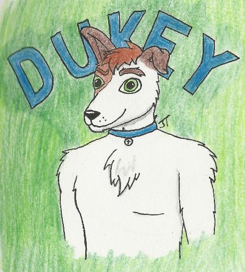 LOST AND FOUND EARLY ARTWORK OF DUKEY