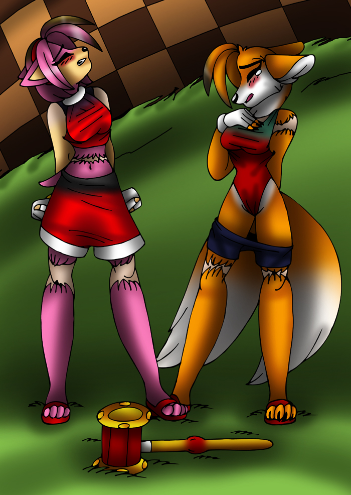 Tails and Amy TF TG p5. 