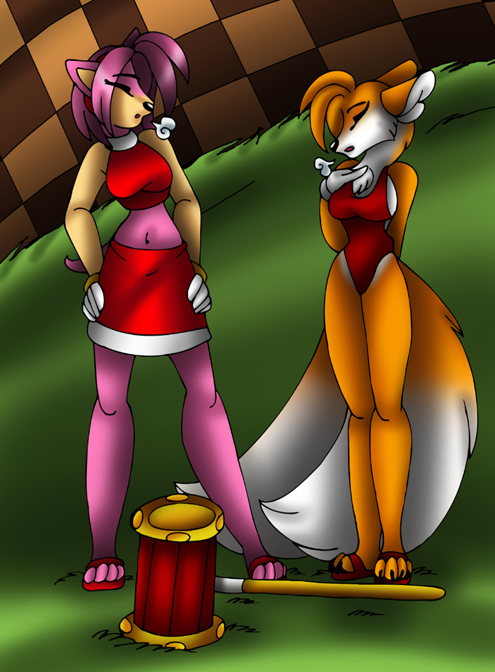 Tails and Amy TF TG p6. 