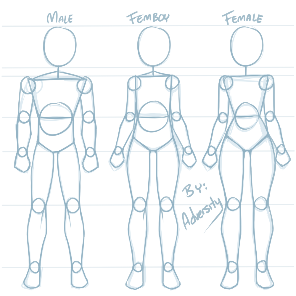 How To Distinguish Body Types [Plantigrade] by AAMP -- Fur Affinity ...