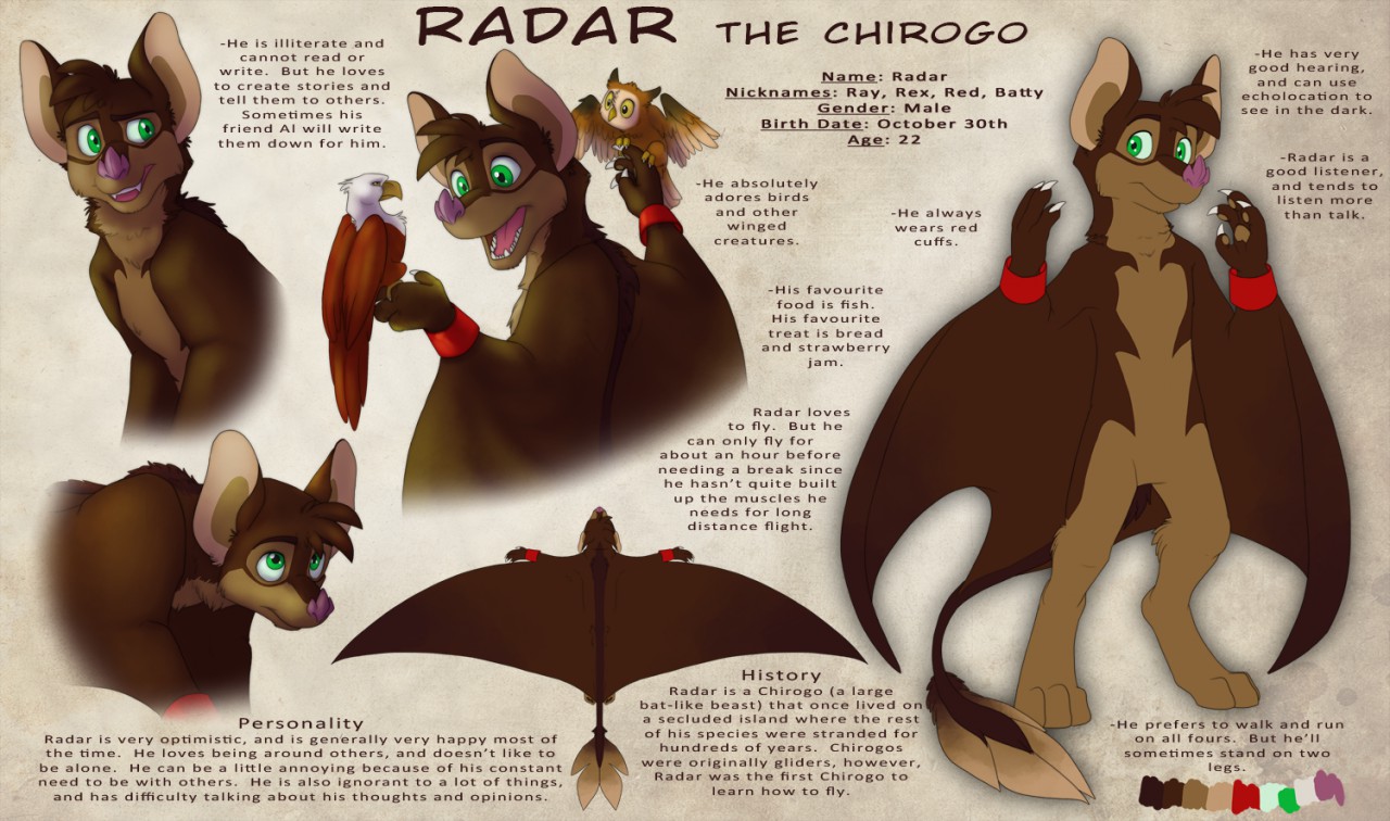 Radar the Chirogo Reference